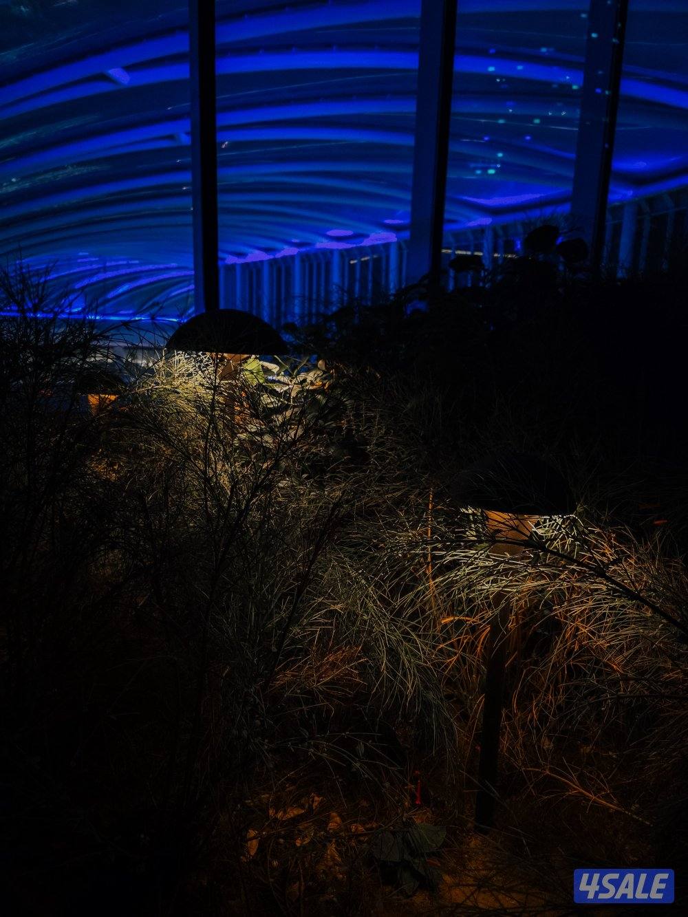 مطلوب مصور أو مصورة أى جنسية4