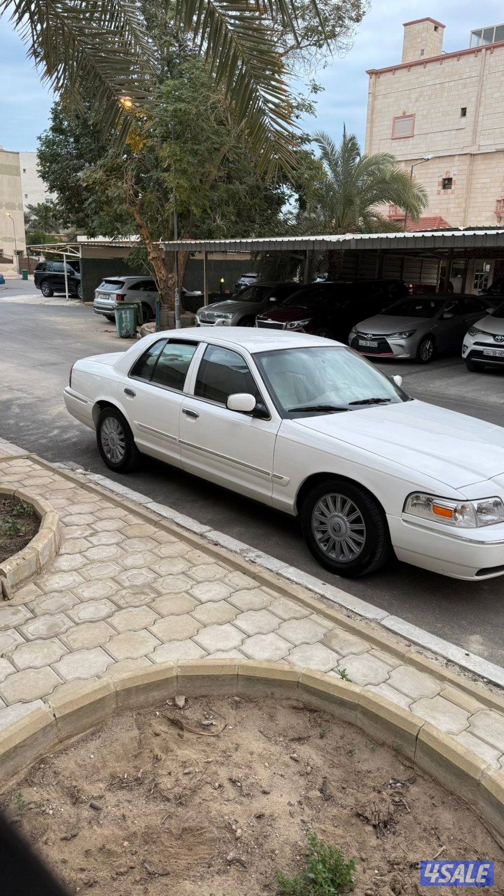 مفحوص وجاهز8