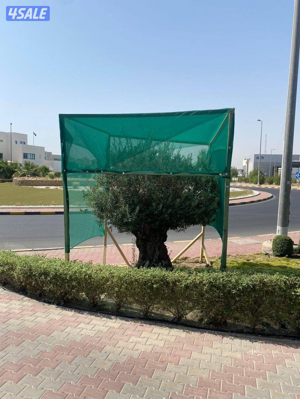 تنسيق وصيانه حدائق وشبكه الري كامله ارخص الاسعار1