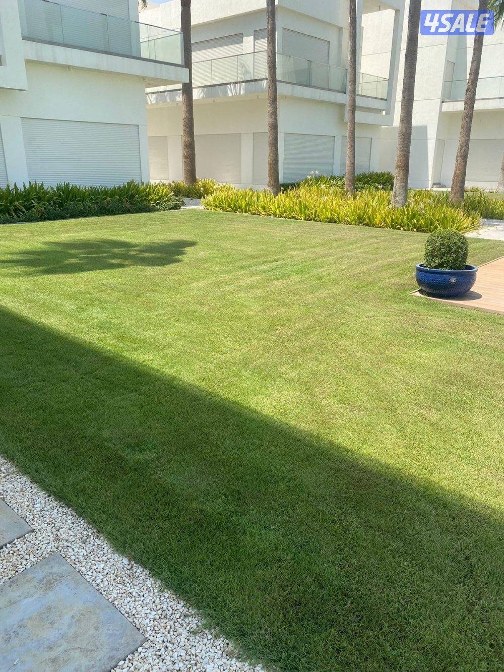 تنسيق وصيانه حدائق وشبكه الري كامله ارخص الاسعار2