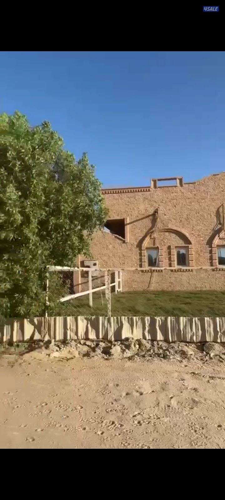 جواخير للبيع كبد0