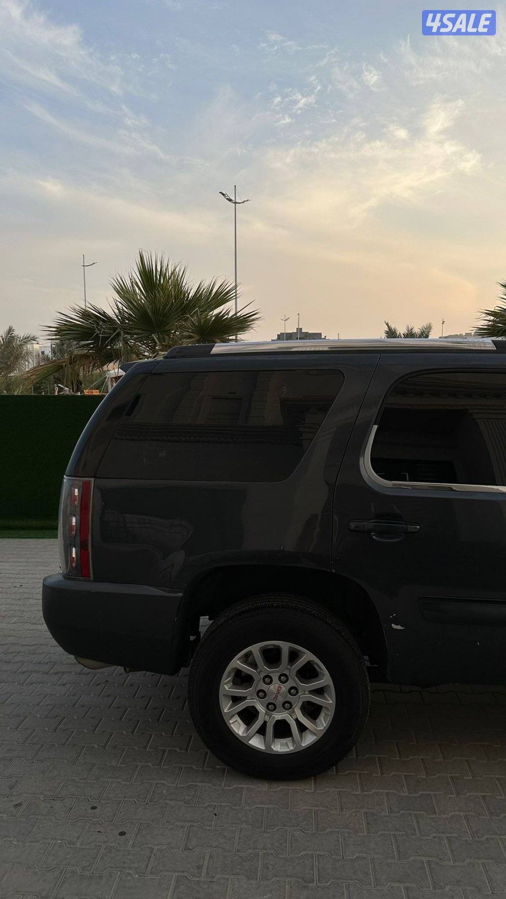 للبيع دينالي1