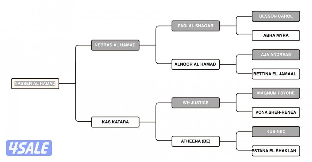 حصان شو سوبر بطل و معسوف3