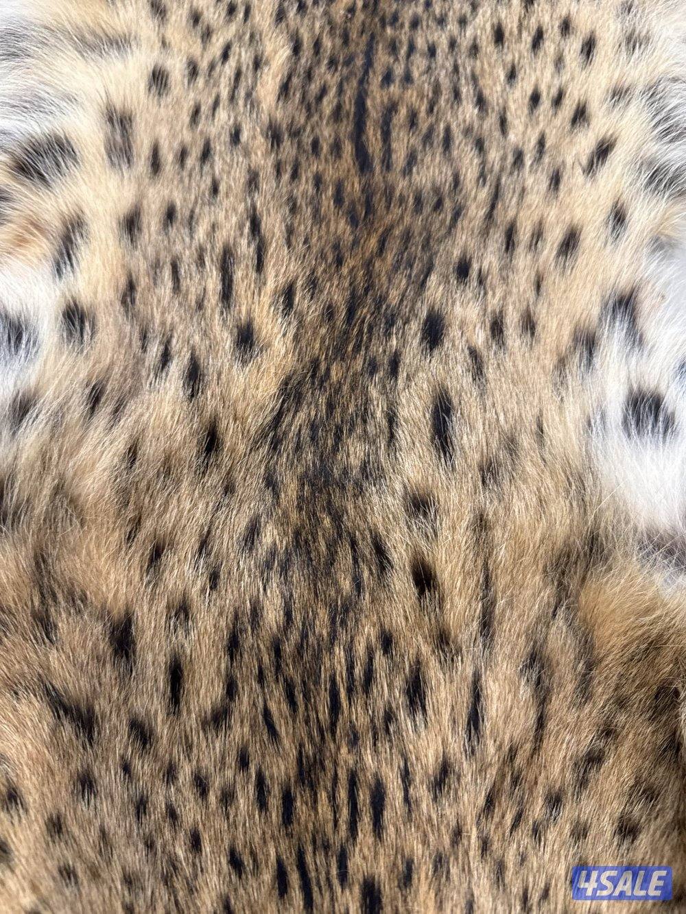 جلد حيوان جلد سيرفال أصلي (Serval Wild Cat) نادر وفرو جميل4