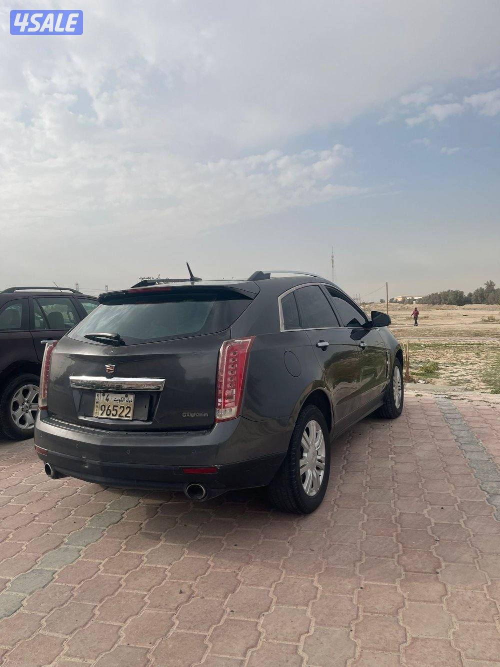 موديل ٢٠١٠2