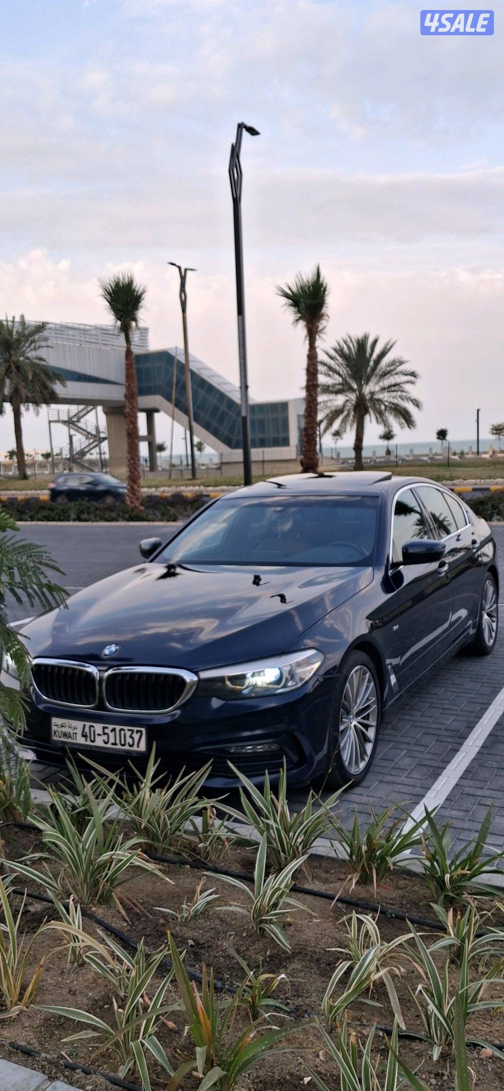 الشعب البحري1