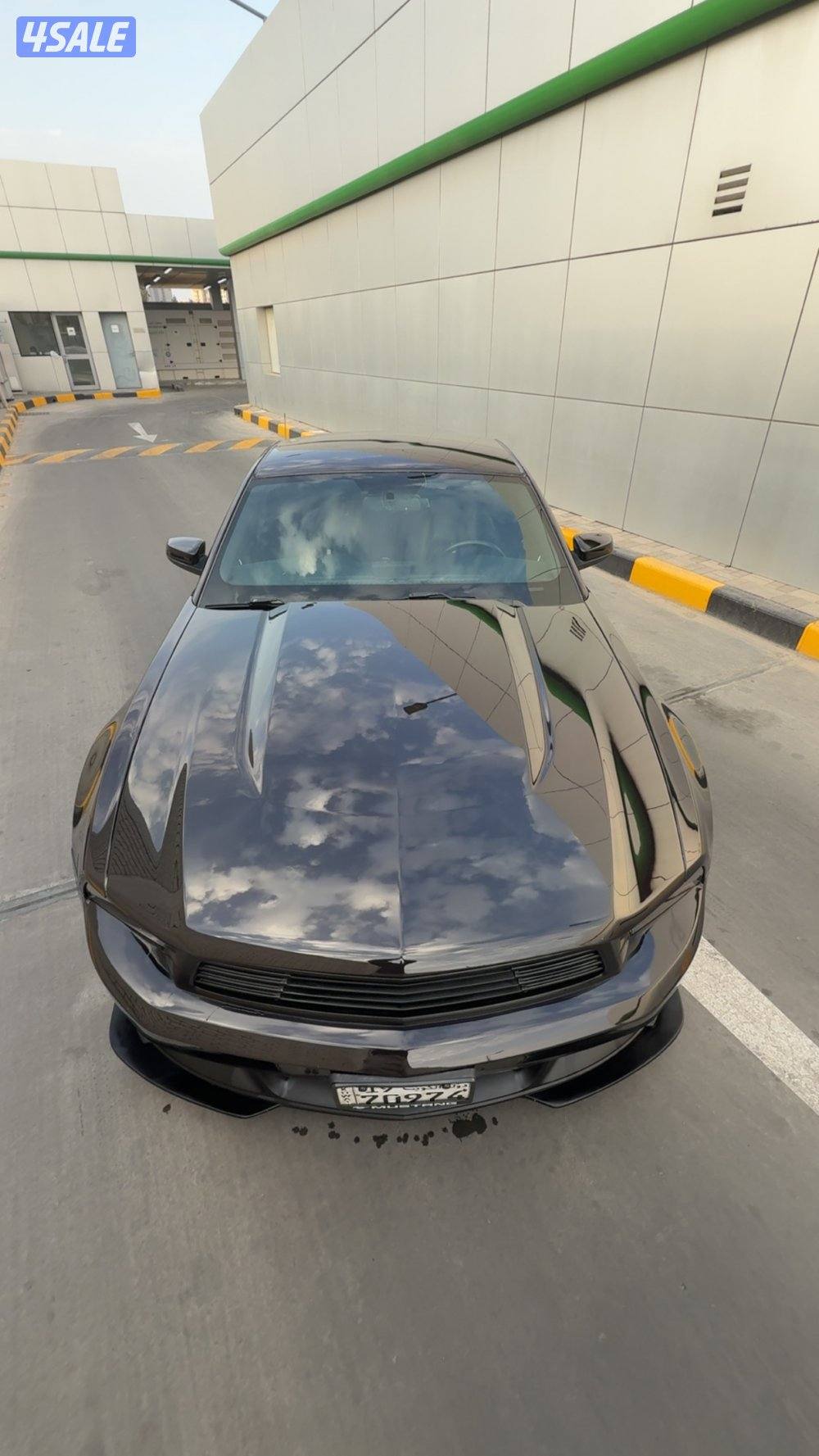 للبيع موستنق فايف زيرو3