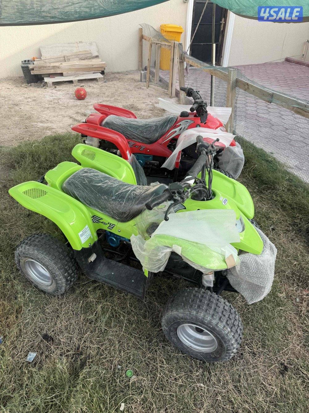 ٢بقيات٥٠ العميري بأكياس الوكاله0