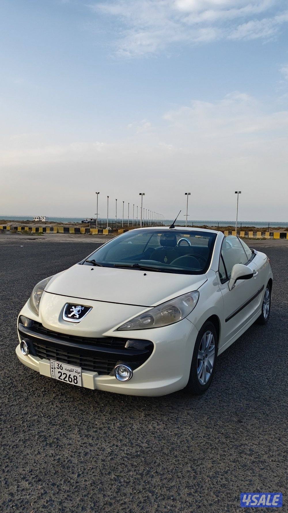 بيجو 207 كشف8