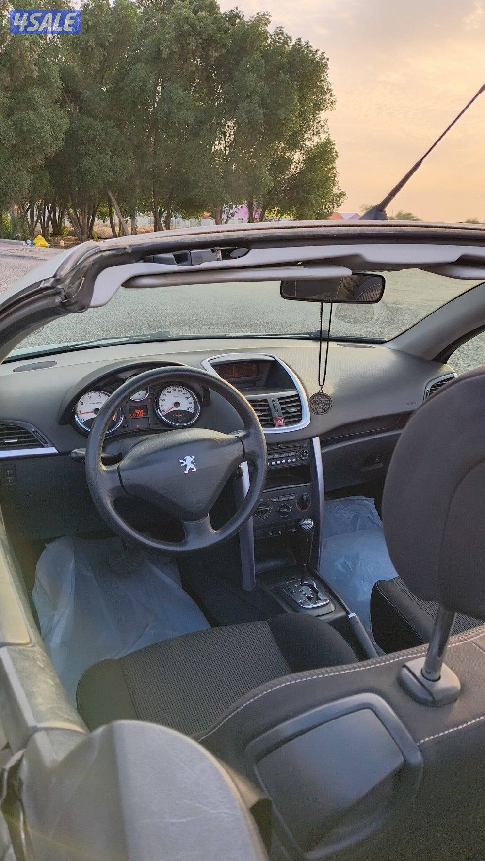 بيجو 207 كشف10