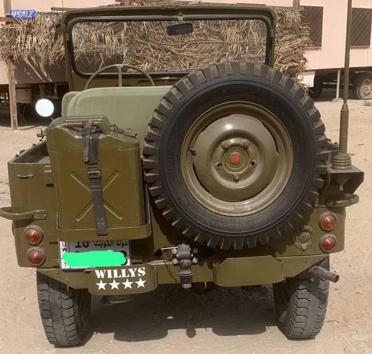 للبيع ويلز1