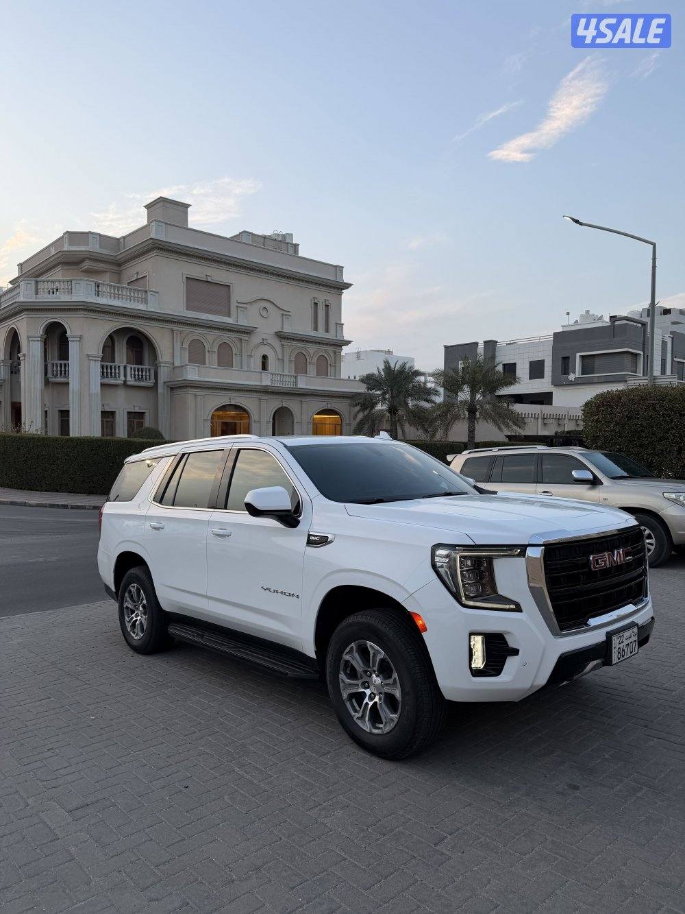 يوكن SLE 2024 صبغ الوكالة عداد 14 فقط0