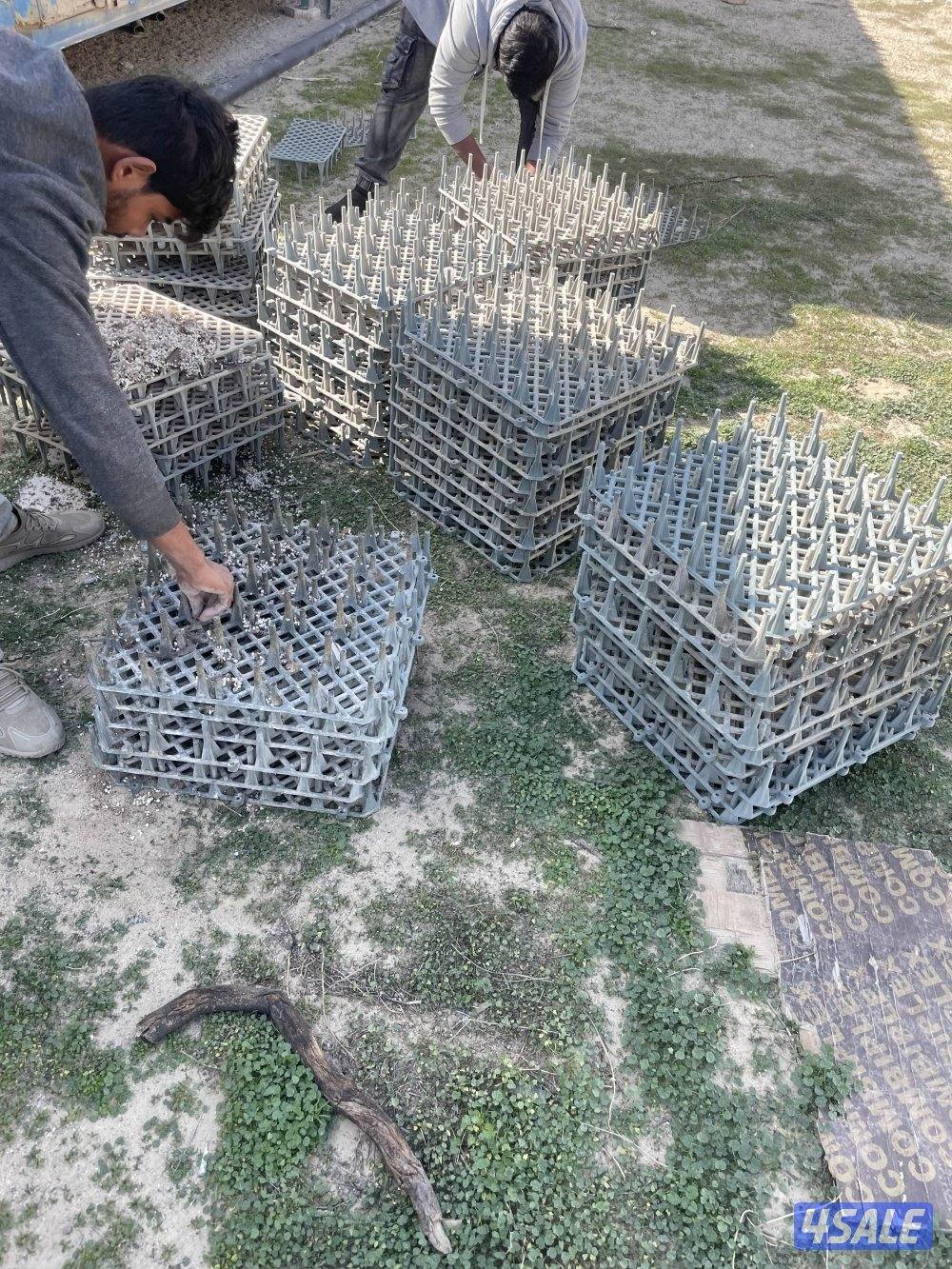 ارضيات بلاستيك للدجاج والحمام0