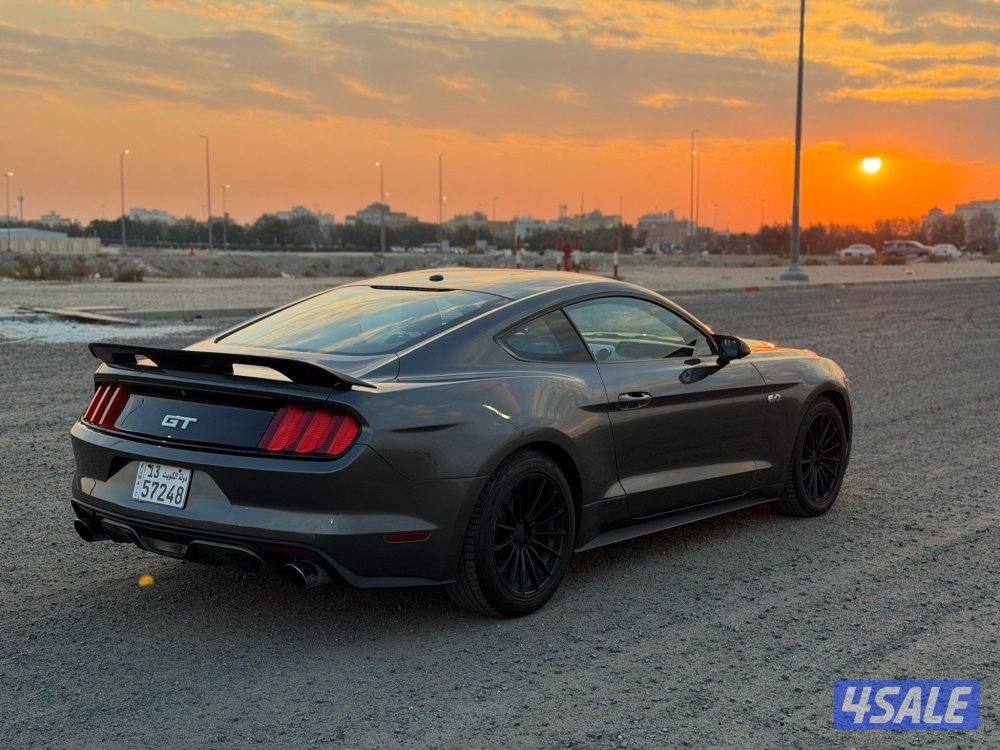 موستنج 2015 الفل درجة اولى3