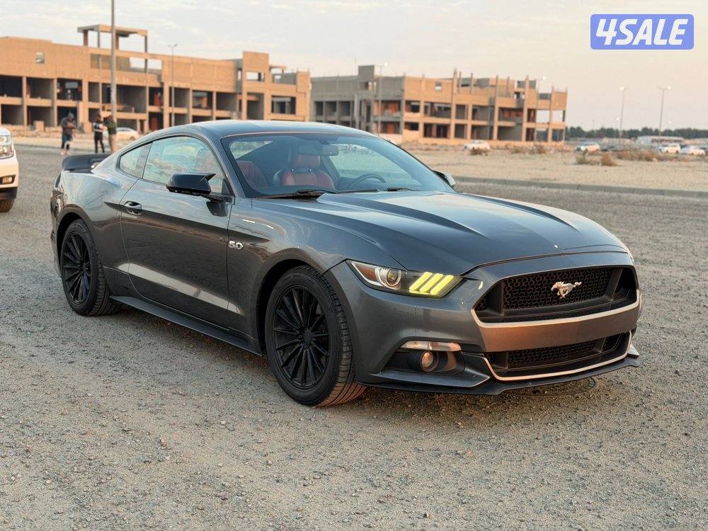 موستنج 2015 الفل درجة اولى5