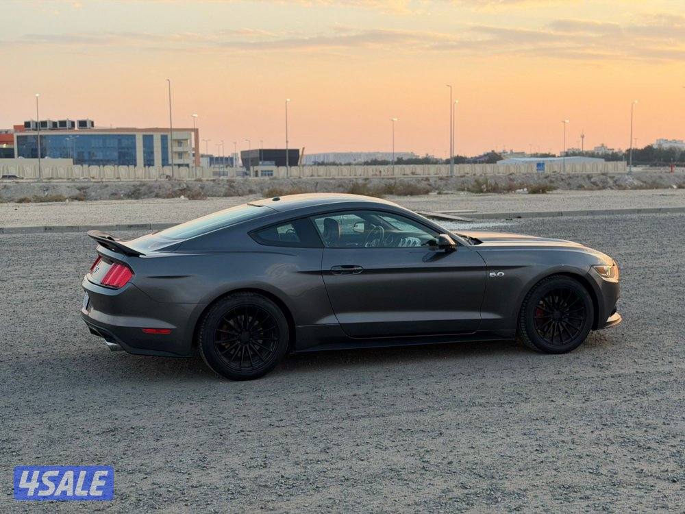 موستنج 2015 الفل درجة اولى8