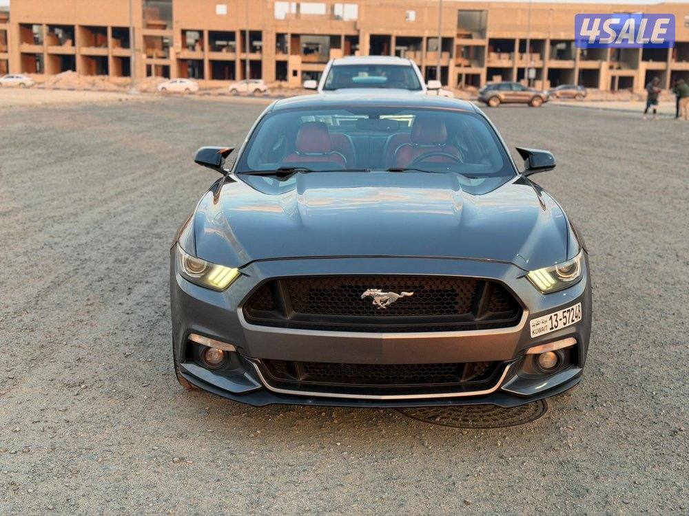 موستنج 2015 الفل درجة اولى9