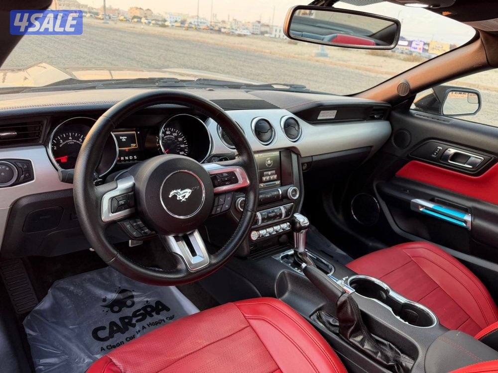 موستنج 2015 الفل درجة اولى10