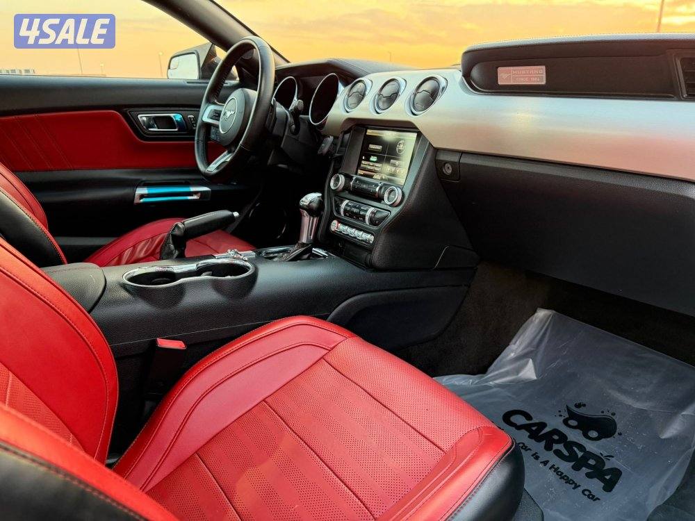 موستنج 2015 الفل درجة اولى11