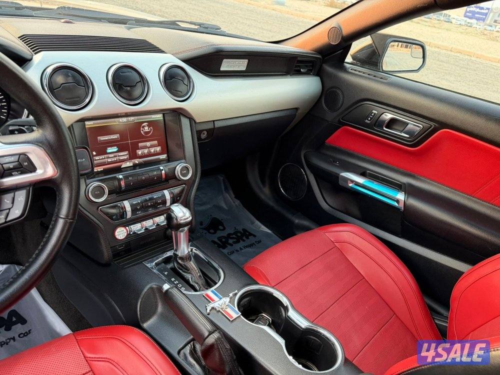 موستنج 2015 الفل درجة اولى12