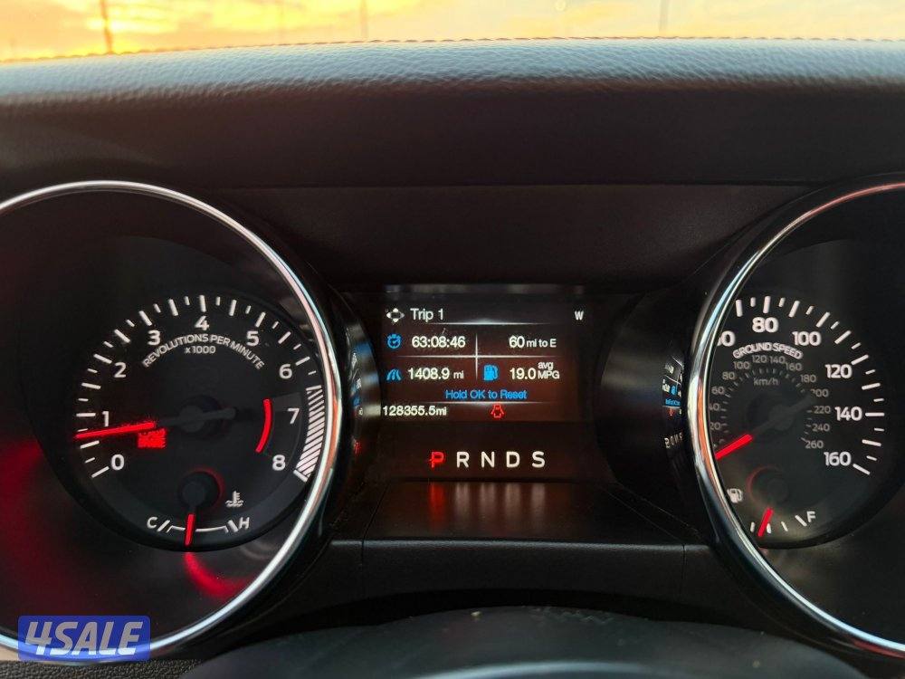 موستنج 2015 الفل درجة اولى14