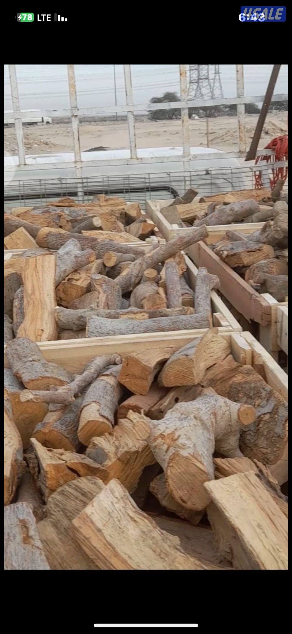 حطب زيتون جبلي ممتاز درجه اولى3