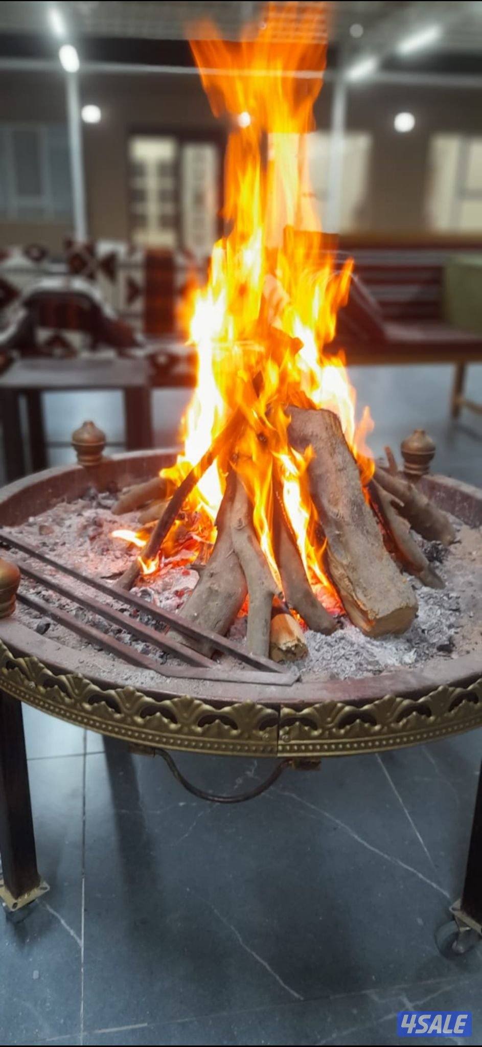 حطب زيتون جبلي ممتاز درجه اولى4