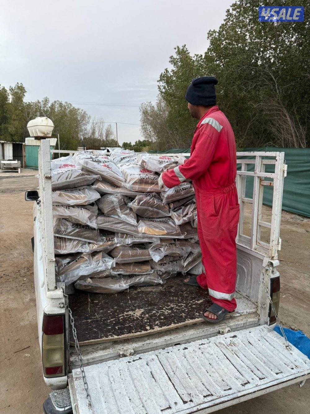 حطب زيتون جبلي ممتاز درجه اولى7