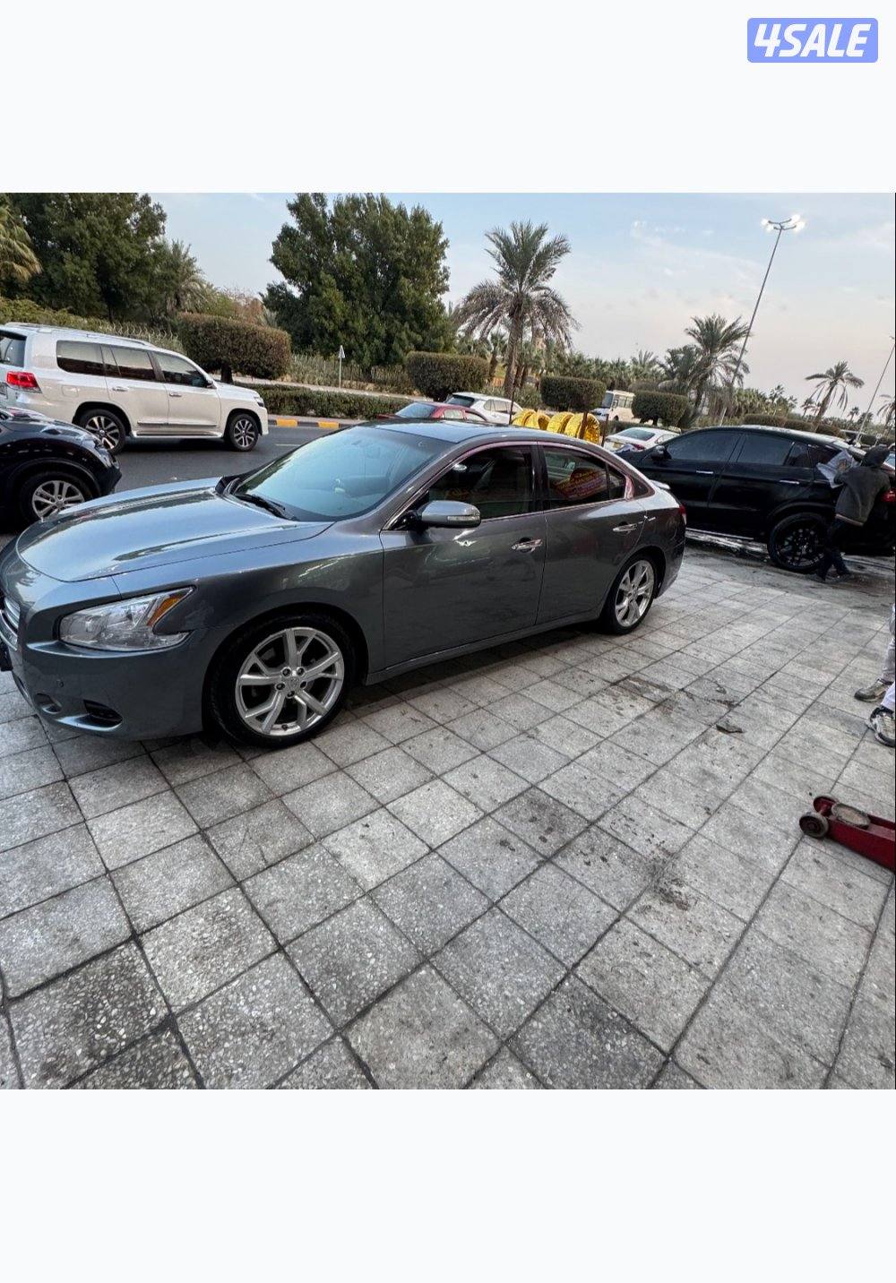 نيسان ماكسيما1