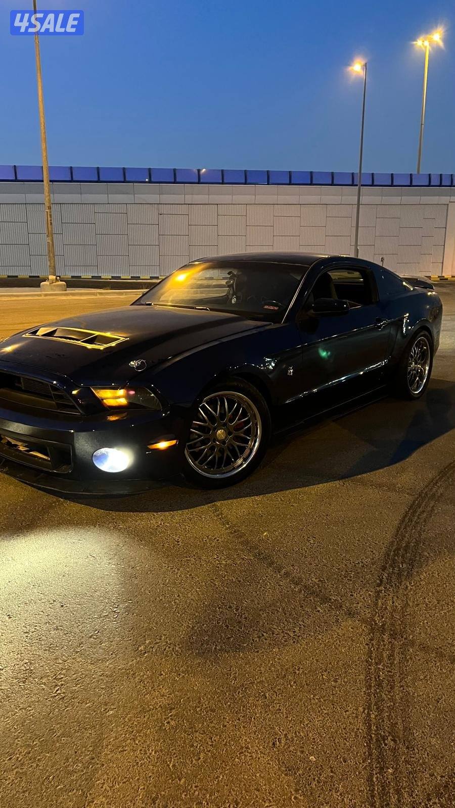 5.0 قزوز وكاله بيعه سريعه0