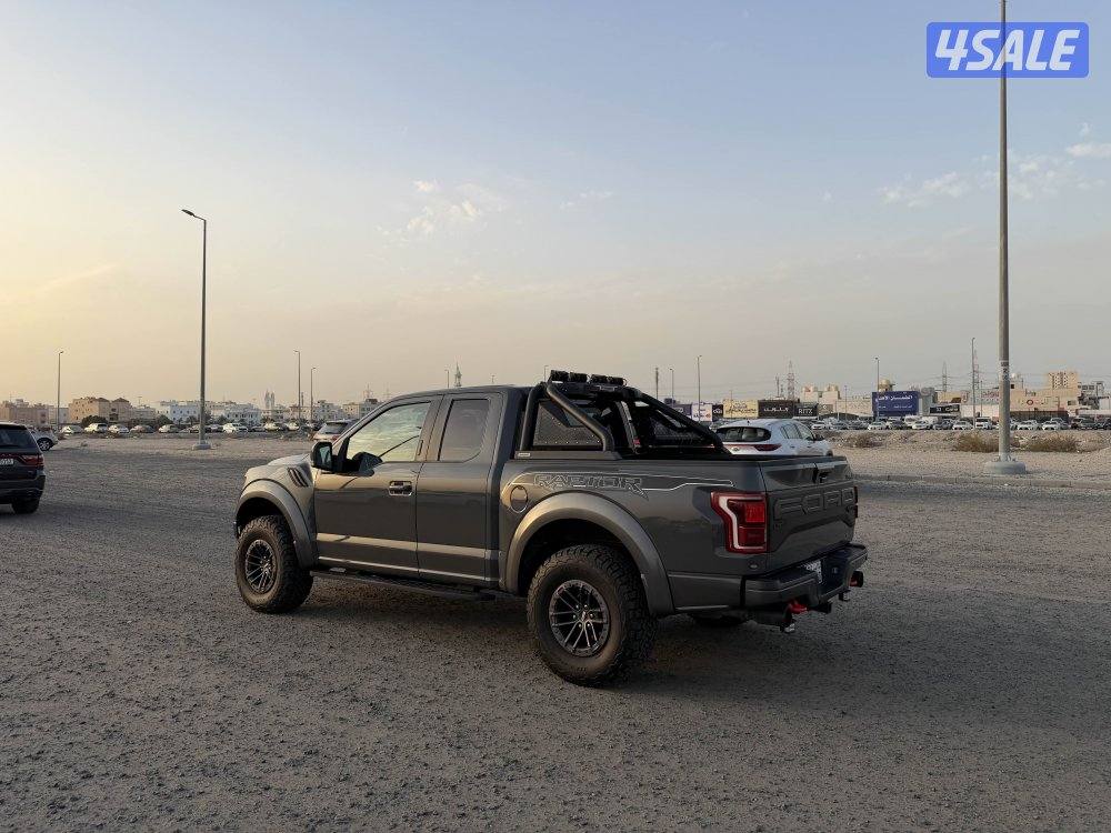 رابتر 2020 صبغ وكالة0