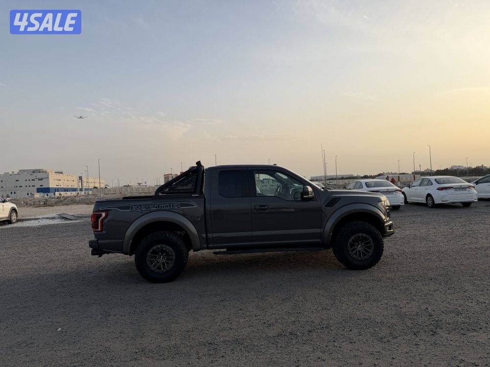 رابتر 2020 صبغ وكالة4