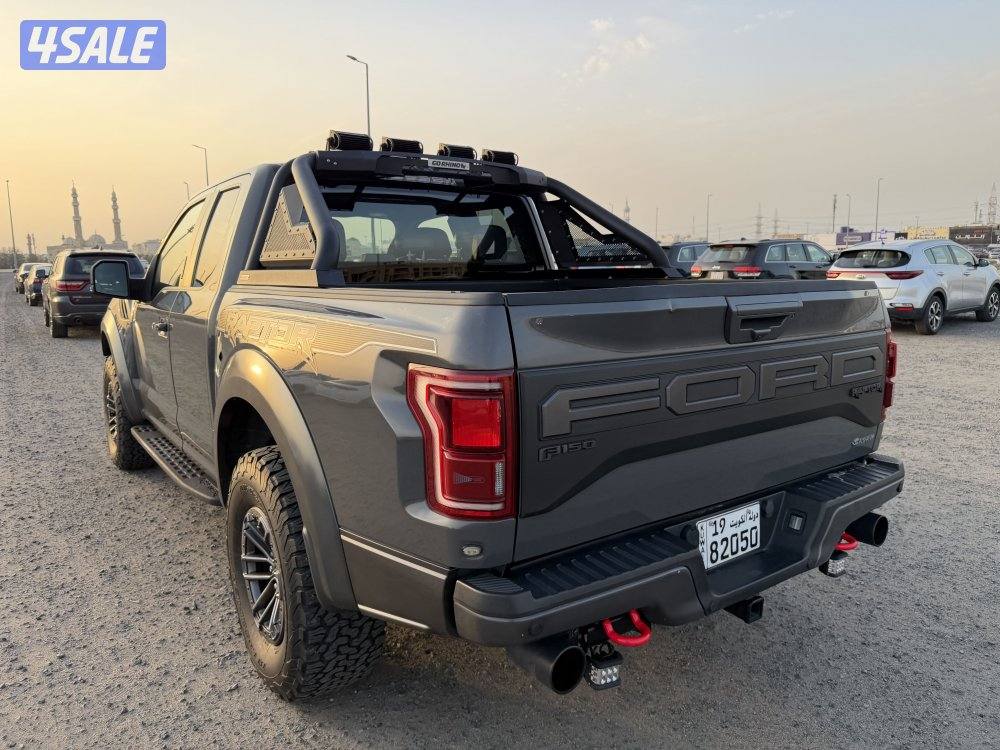 رابتر 2020 صبغ وكالة6