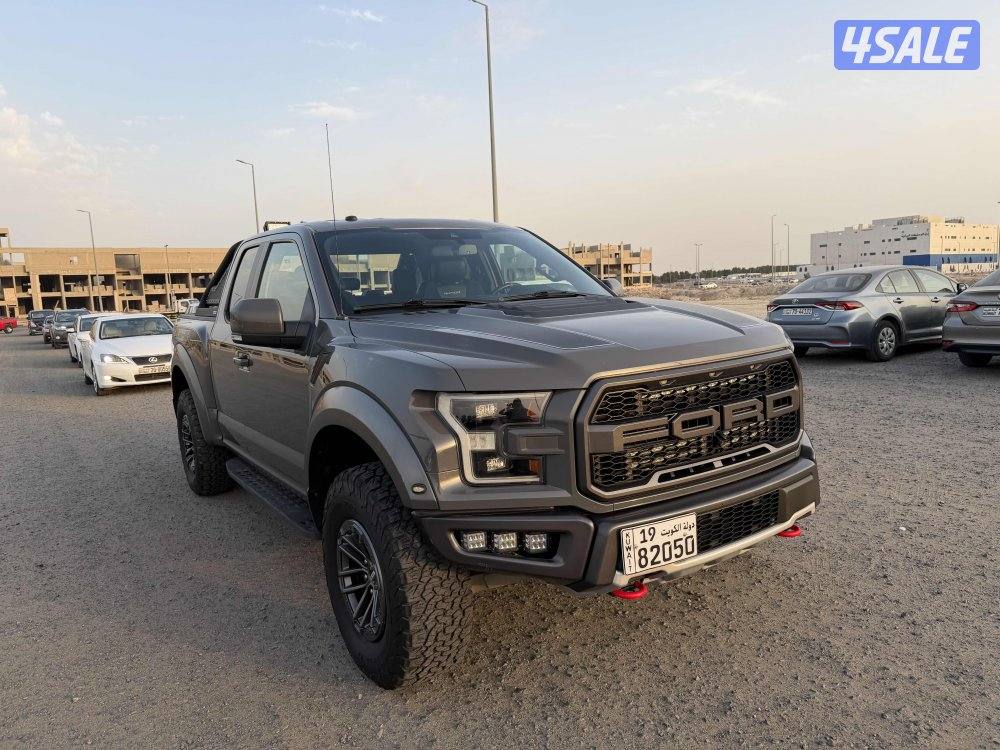 رابتر 2020 صبغ وكالة8