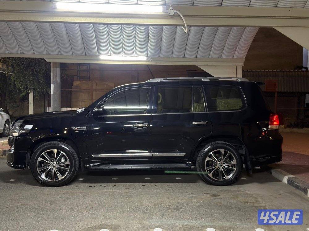 الفل ممشى ٦٧  v83