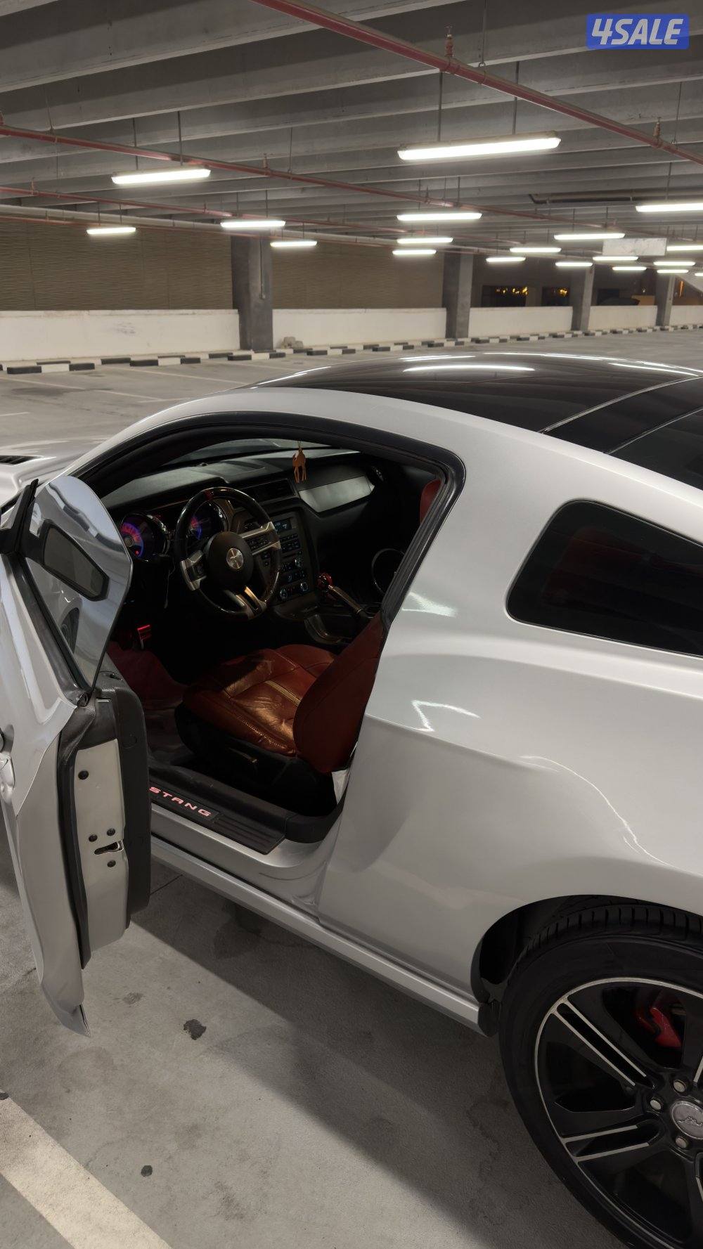 موستنق قير عادي5