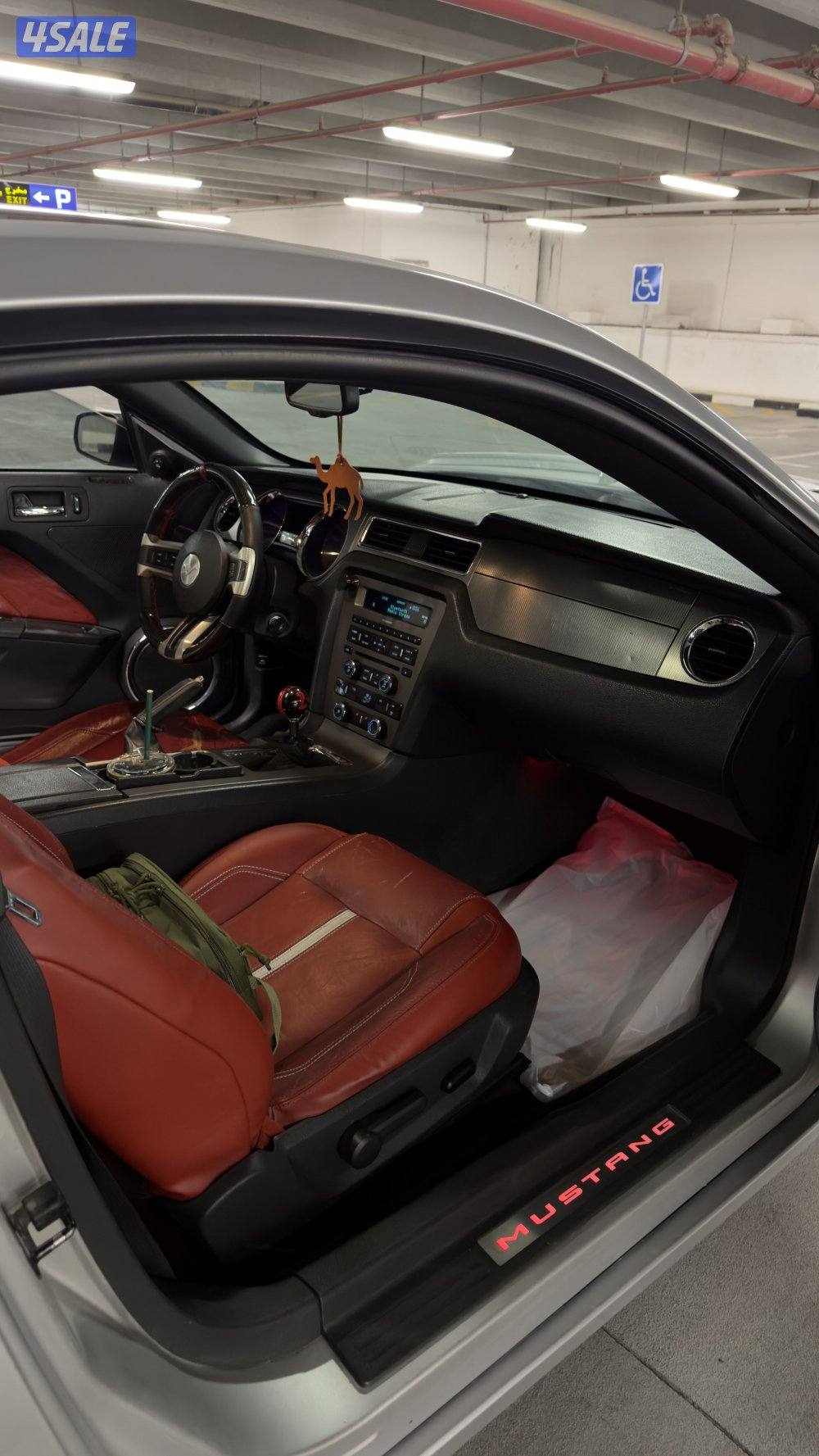 موستنق قير عادي6