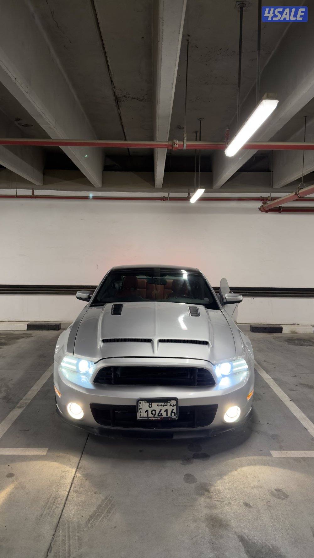 موستنق قير عادي8