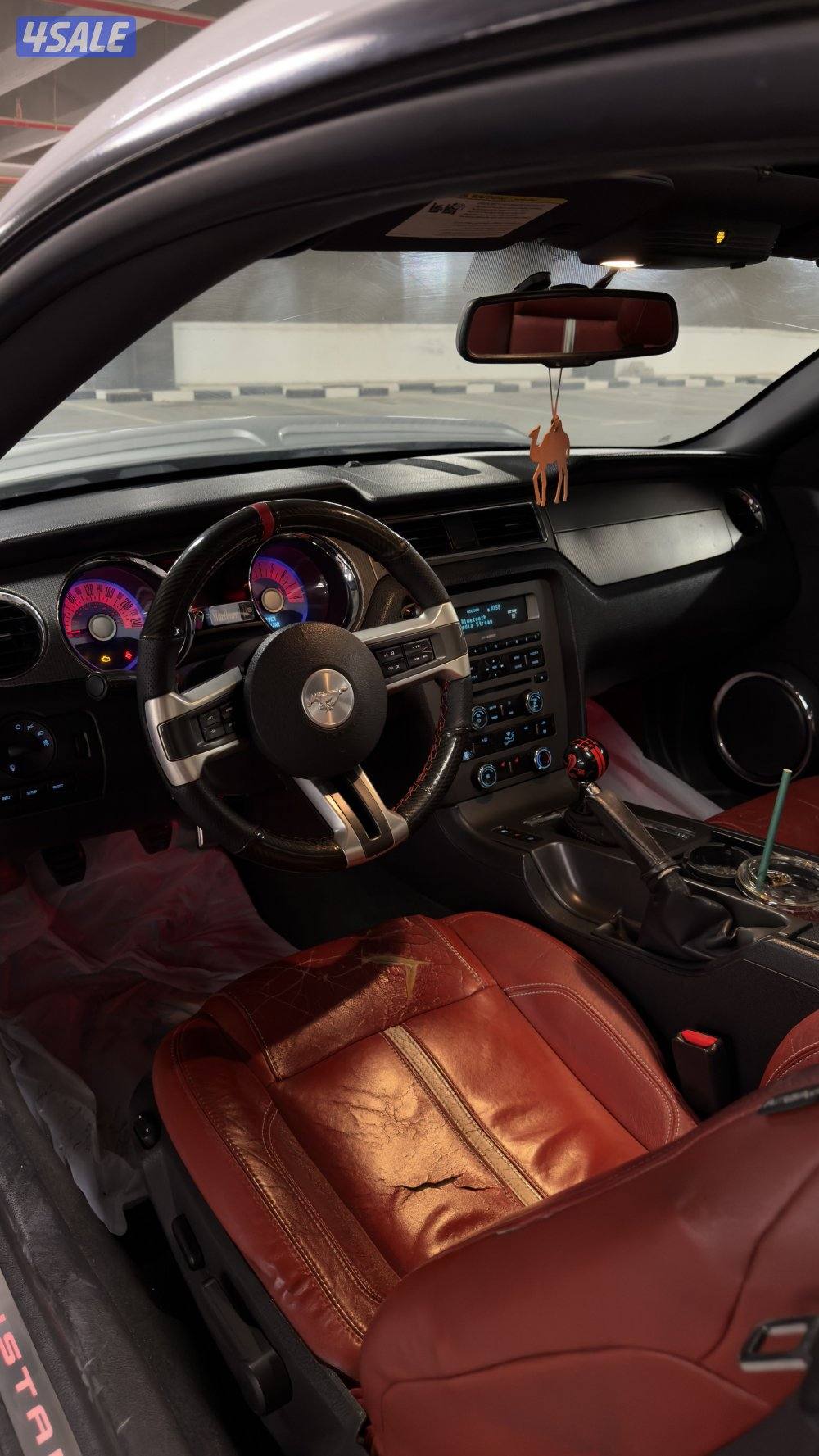 موستنق قير عادي9