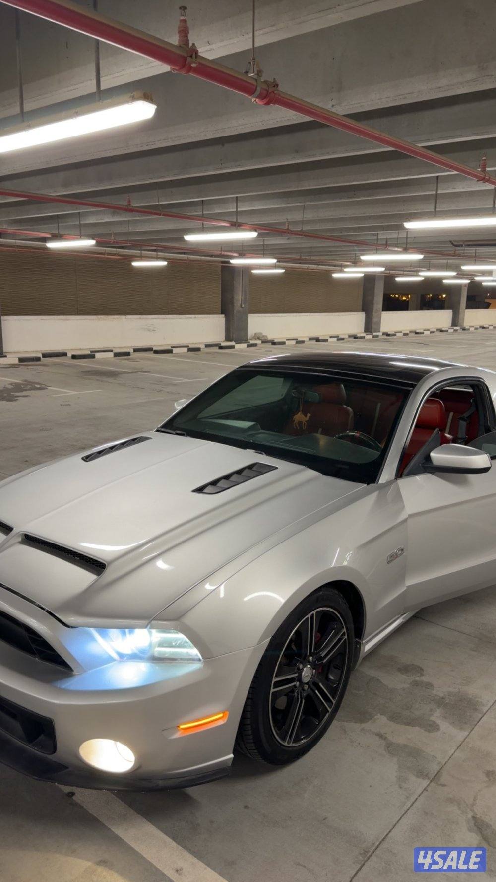 موستنق قير عادي10