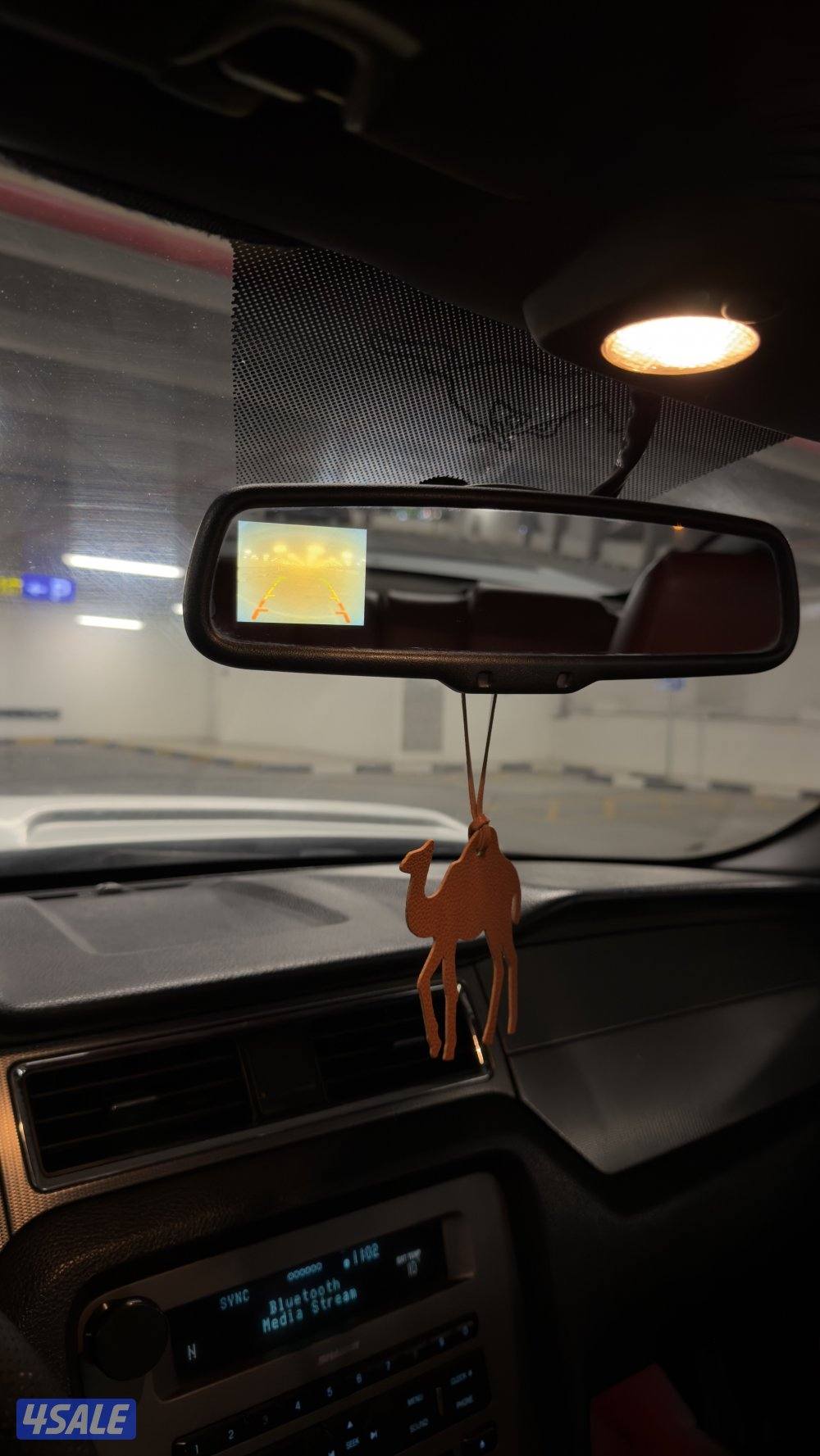 موستنق قير عادي11