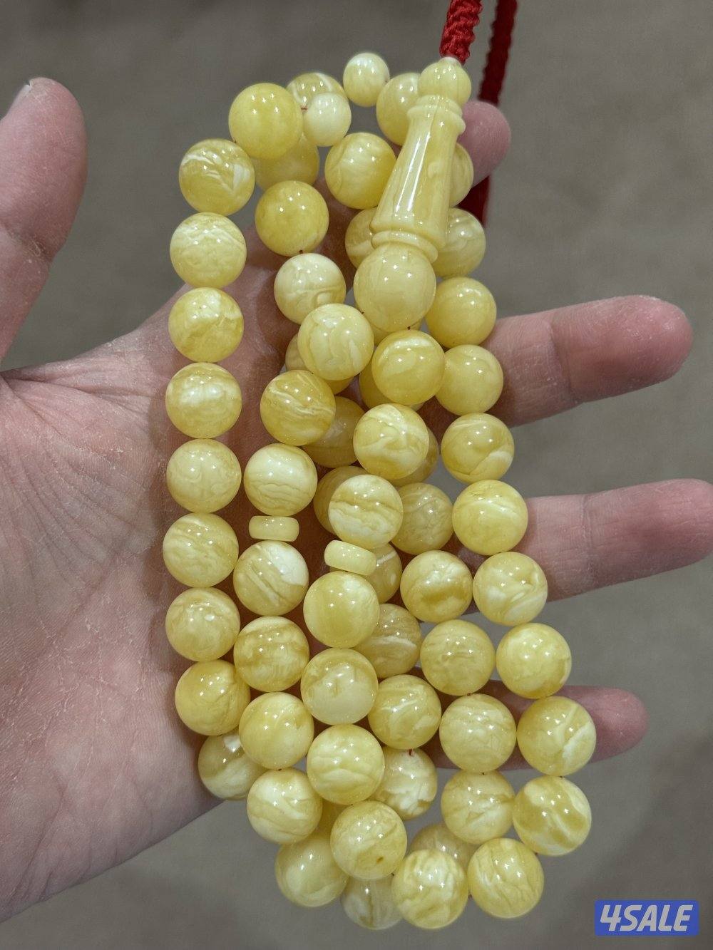 النهضة قطعة ٣1