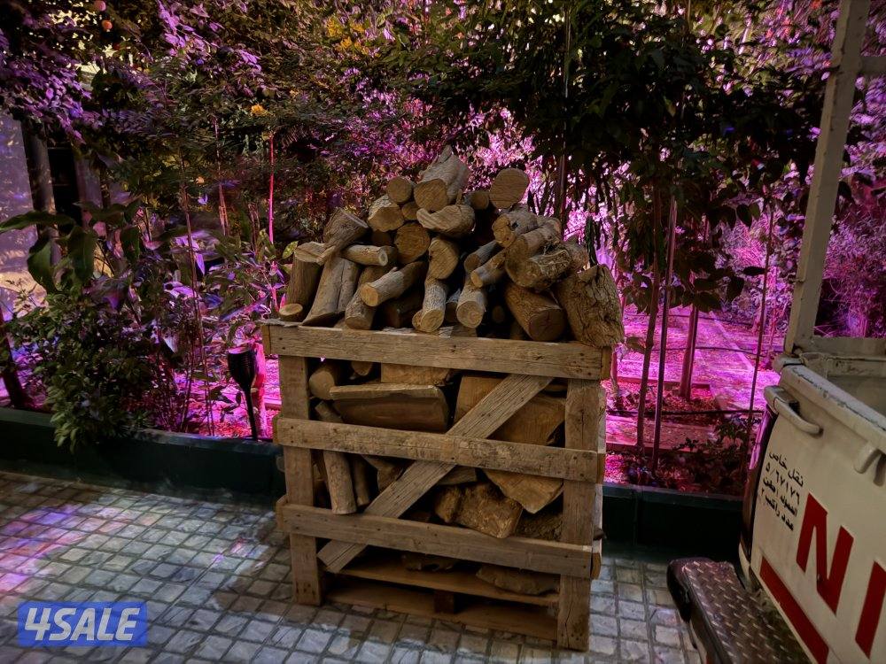 متوفر لدينا كميات محدوده من حطب الزيتون الجبلي درجه أولى ممتاز1