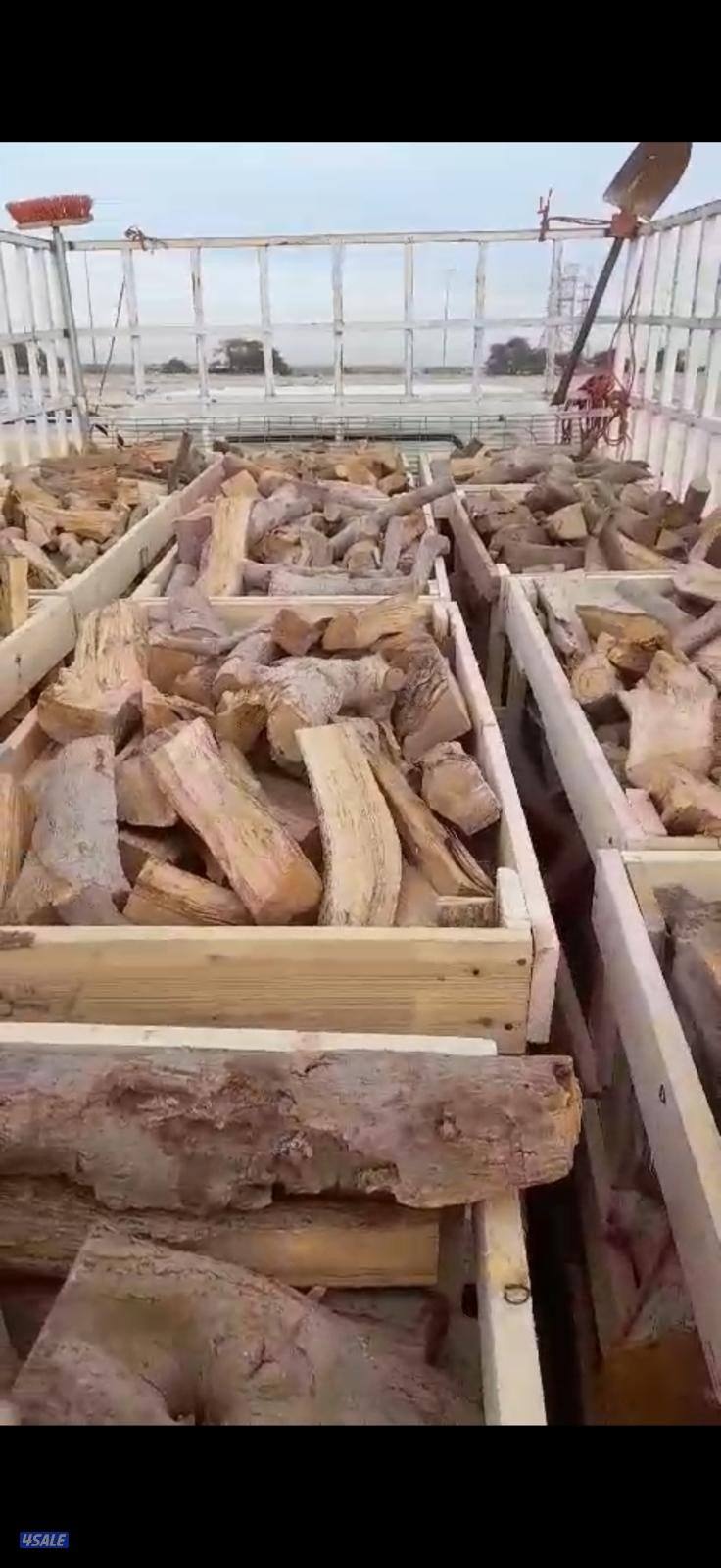 متوفر لدينا كميات محدوده من حطب الزيتون الجبلي درجه أولى ممتاز7