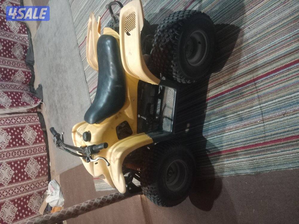 للبيع بقي عميري حجم ١٠٠ نظيف ماشالله0