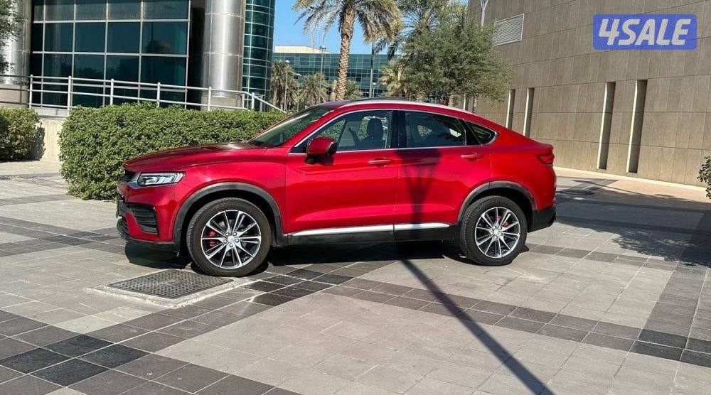 جيلي - توجيلا 20220