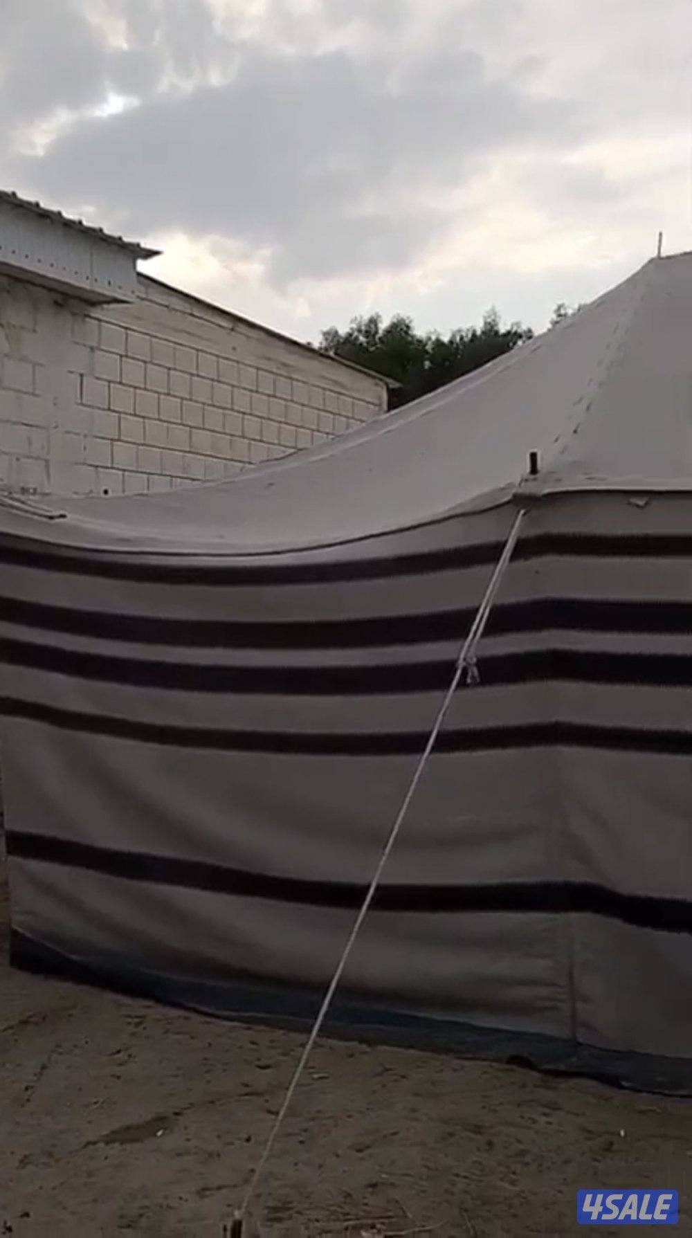 خيمة بيت شعر صوف ٤/٧5