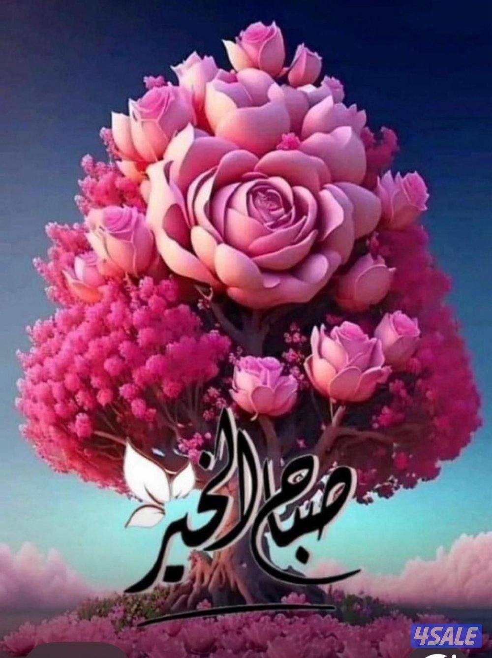 باحث عن عمل حارس بنايه انا خبره ٥ سنوات كاحارس ووكيل بنايات0