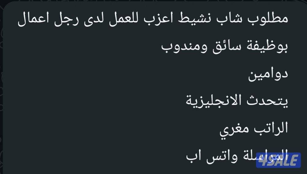 مطلوب شاب نشيط أعزب للعمل لدى رجل أعمال0