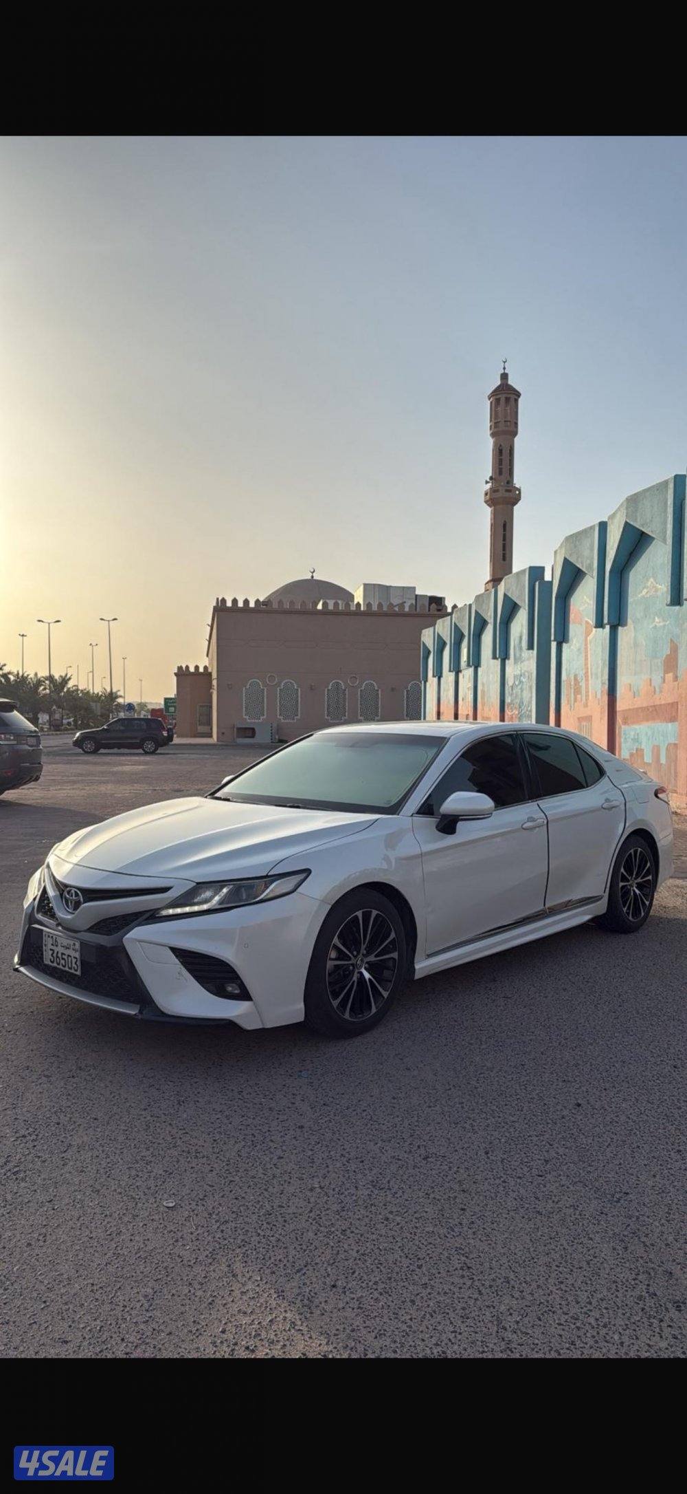 صبغ الوكاله0